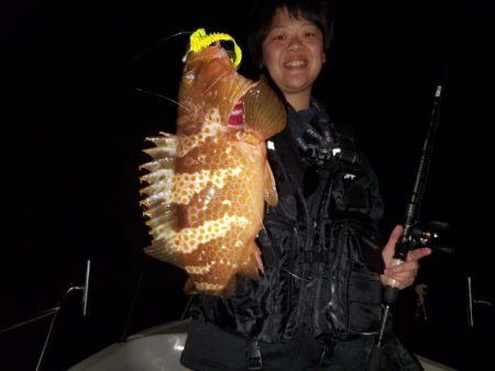 Magic（マジック） 釣果