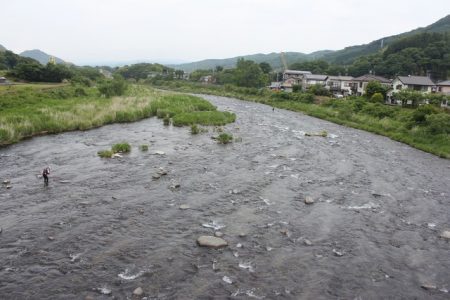 狩野川(狩野川漁業協同組合) 釣果