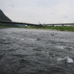 狩野川(狩野川漁業協同組合) 釣果