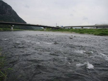 狩野川(狩野川漁業協同組合) 釣果