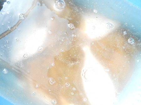 こうゆう丸 釣果