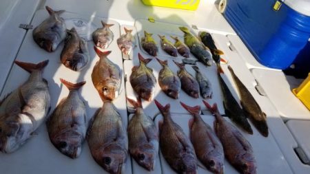 暁〜akatsuki〜 釣果