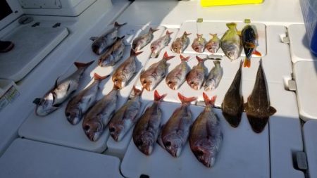 暁〜akatsuki〜 釣果