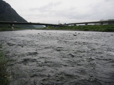 狩野川(狩野川漁業協同組合) 釣果