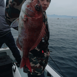 遊漁船ブルーウッズ 釣果