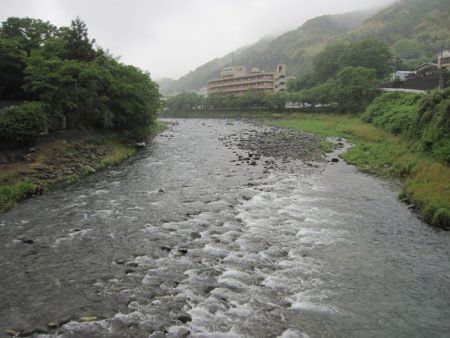 狩野川（狩野川漁業協同組合） 釣果