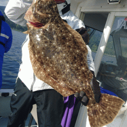遊漁船ブルーウッズ 釣果