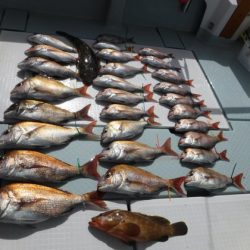 遊漁船 幸友丸 釣果