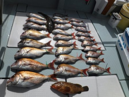 遊漁船 幸友丸 釣果