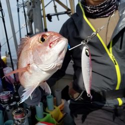 遊漁船 ニライカナイ 釣果