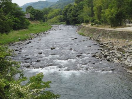 狩野川(狩野川漁業協同組合) 釣果