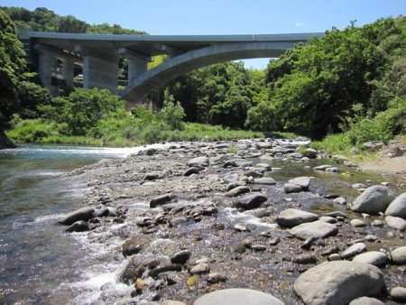 狩野川(狩野川漁業協同組合) 釣果