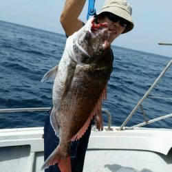 つれ鷹丸 釣果