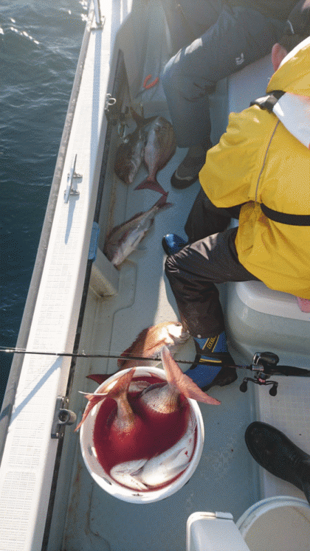 遊漁船ブルーウッズ 釣果