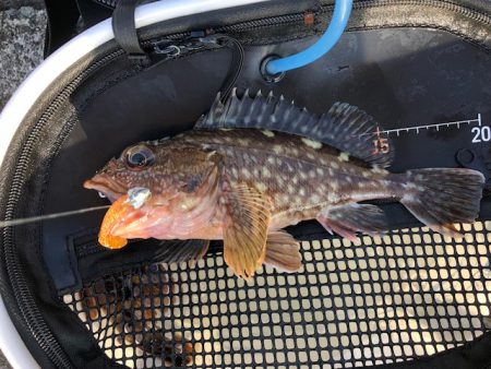 神戸ガシリング2