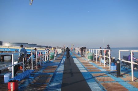 オリジナルメーカー海づり公園(市原市海づり…