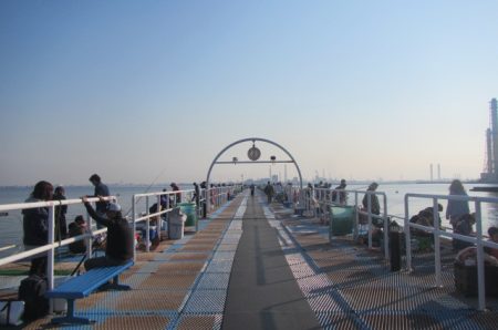 オリジナルメーカー海づり公園(市原市海づり施設) 釣果