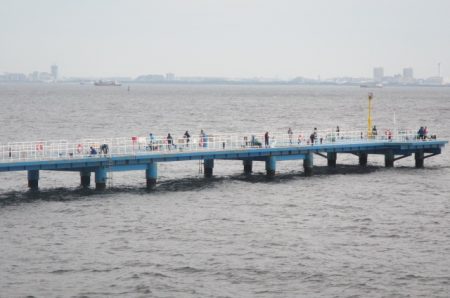 オリジナルメーカー海づり公園(市原市海づり施設) 釣果