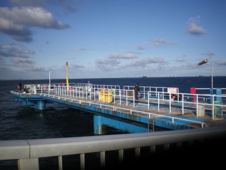 オリジナルメーカー海づり公園(市原市海づり施設) 釣果