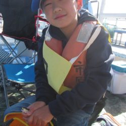 オリジナルメーカー海づり公園(市原市海づり施設) 釣果