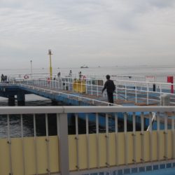 オリジナルメーカー海づり公園(市原市海づり施設) 釣果