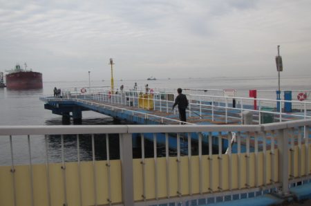 オリジナルメーカー海づり公園(市原市海づり施設) 釣果