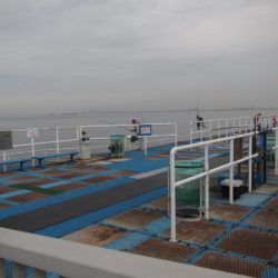 オリジナルメーカー海づり公園(市原市海づり施設) 釣果