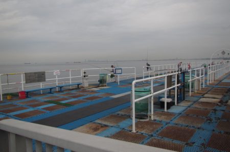 オリジナルメーカー海づり公園(市原市海づり施設) 釣果