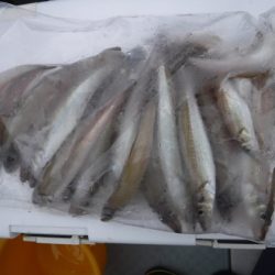 遊漁船 幸友丸 釣果