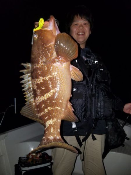 Magic（マジック） 釣果