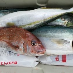 IDATEN（イダテン） 釣果