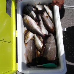 第二大福丸 釣果