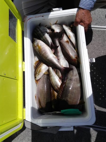 第二大福丸 釣果