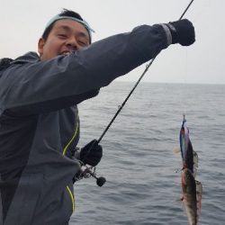 海峰 釣果