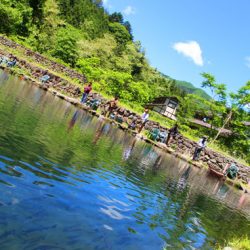 小菅トラウトガーデン 釣果