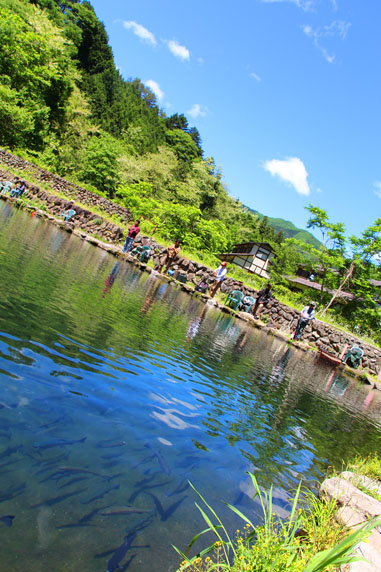 小菅トラウトガーデン 釣果