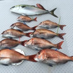 ミタチ丸 釣果