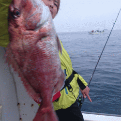 遊漁船ブルーウッズ 釣果