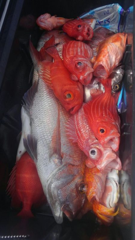 遊漁船 新鋭丸 釣果