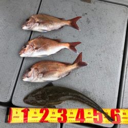 遊漁船高橋 釣果
