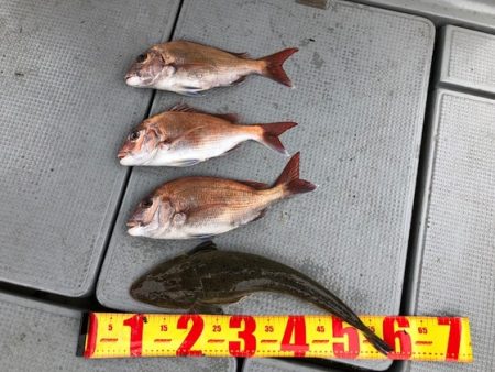 遊漁船高橋 釣果