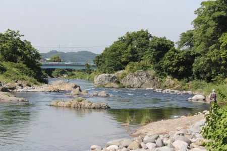 狩野川(狩野川漁業協同組合) 釣果