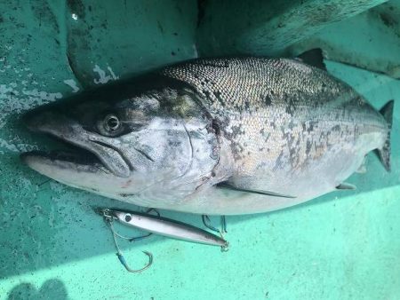 広進丸 釣果