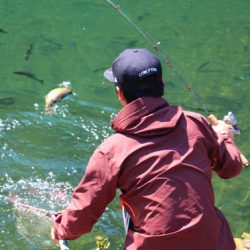 小菅トラウトガーデン 釣果