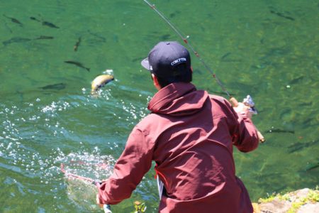 小菅トラウトガーデン 釣果