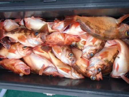 第二むつ漁丸 釣果