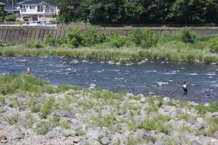 狩野川(狩野川漁業協同組合) 釣果