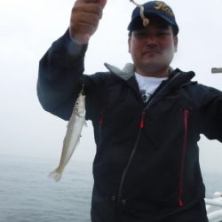 遊漁船 幸友丸 釣果