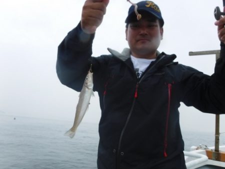 遊漁船 幸友丸 釣果