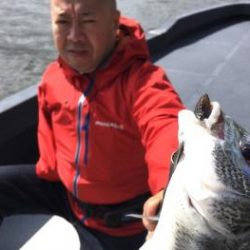 シーマジカル 釣果